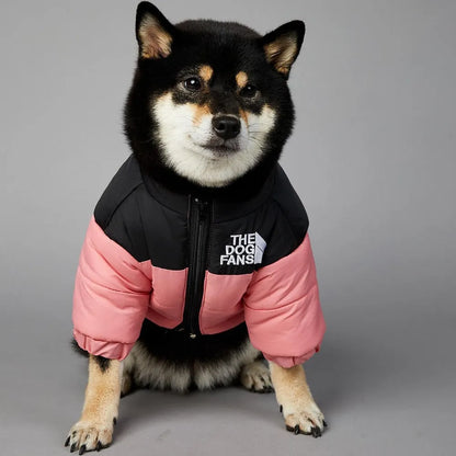 Jacky™ | Comfy Pets