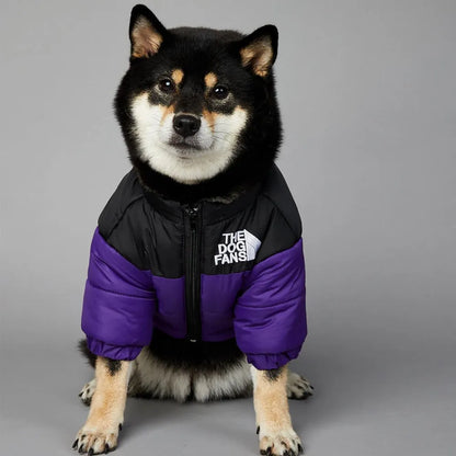 Jacky™ | Comfy Pets